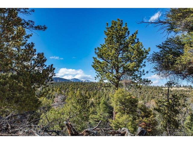 TBD County Road 251, Salida, CO 81201