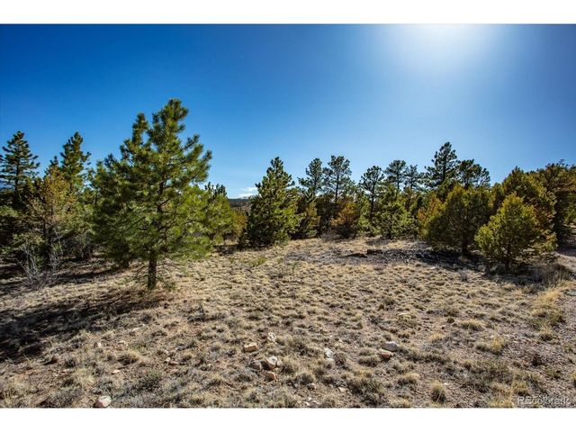 TBD County Road 251, Salida, CO 81201
