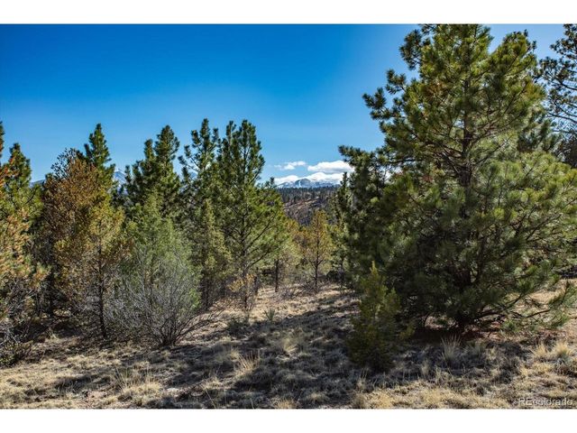 TBD County Road 251, Salida, CO 81201