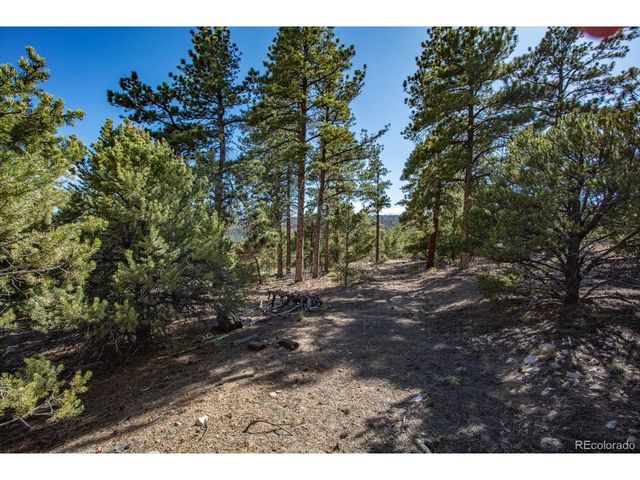 TBD County Road 251, Salida, CO 81201