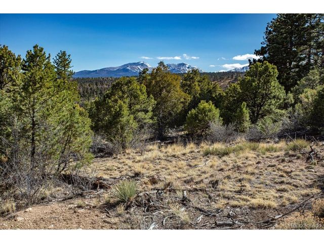 TBD County Road 251, Salida, CO 81201