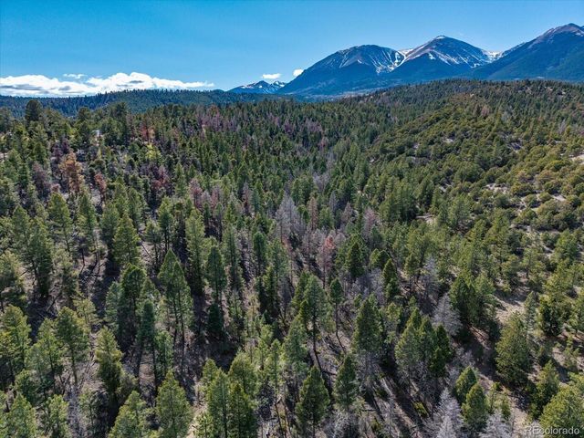 TBD County Road 251, Salida, CO 81201