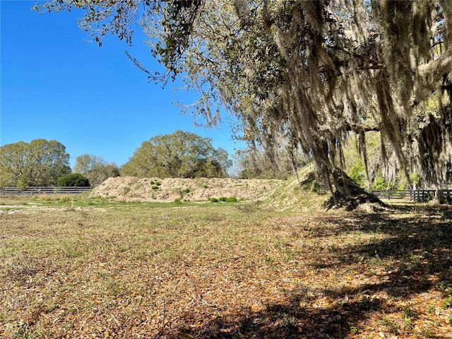 15153 SE 73RD AVENUE, Summerfield, FL 34491