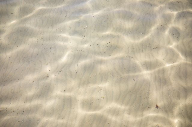 8432 S Dunns Farm Road, Kasson Twp, MI 49664