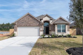 21614 Tea Tree Olive Place, Porter, TX 77365
