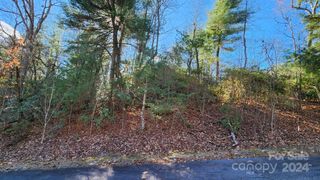 9999 Old Chestnut Lane 1, Hendersonville, NC 28792