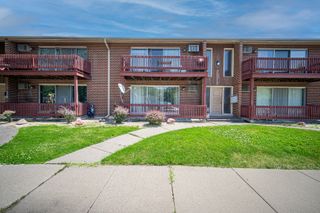553 N Carroll Parkway 1D, Glenwood, IL 60425