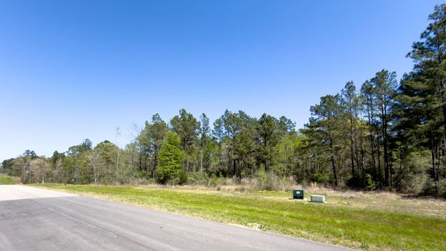 15824 Wood Grove Way, Willis, TX 77378