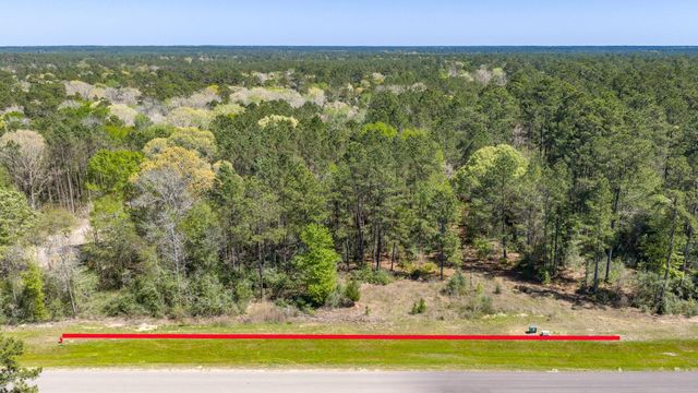 15824 Wood Grove Way, Willis, TX 77378