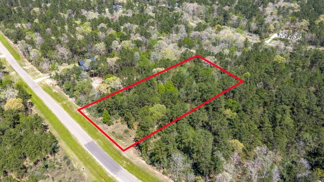 15824 Wood Grove Way, Willis, TX 77378