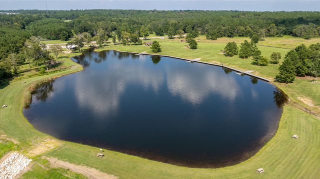 15824 Wood Grove Way, Willis, TX 77378