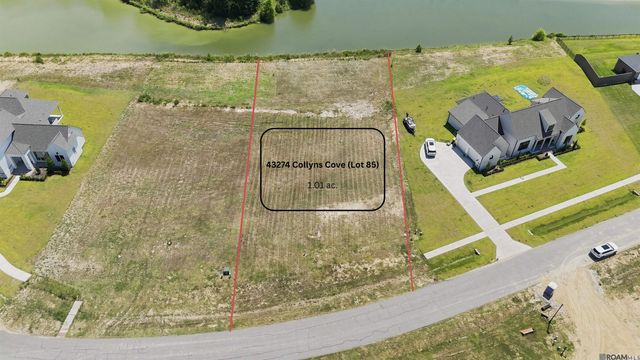 43274 Collyns Cove, Prairieville, LA 70769