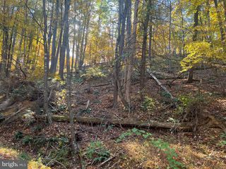 0 PIN OAK STREET, Basye, VA 22810