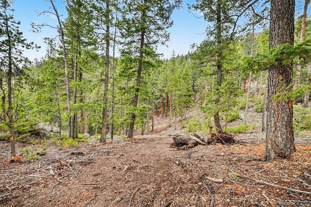 7141 Timber Trail Road, Evergreen, CO 80439