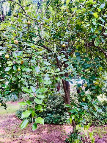 432 Lumyer Road, Rockingham, NC 28379