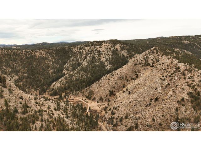 846 Boxer Ranch Rd, Livermore, CO 80536