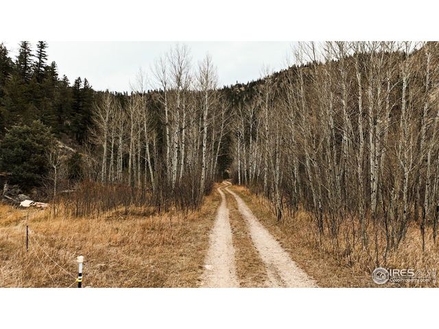 846 Boxer Ranch Rd, Livermore, CO 80536