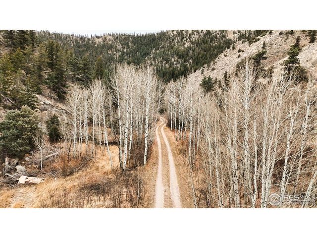 846 Boxer Ranch Rd, Livermore, CO 80536