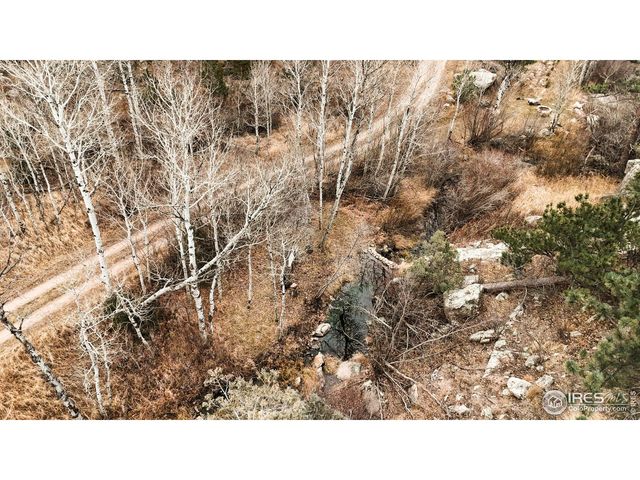 846 Boxer Ranch Rd, Livermore, CO 80536