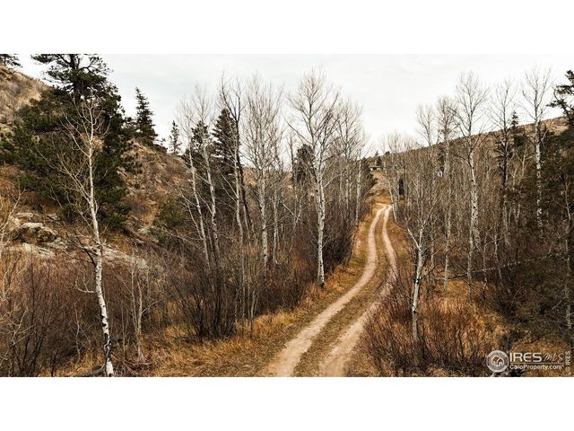 846 Boxer Ranch Rd, Livermore, CO 80536