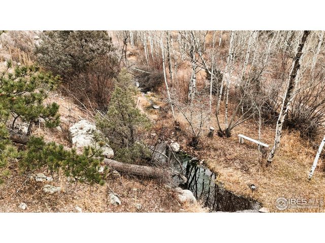 846 Boxer Ranch Rd, Livermore, CO 80536