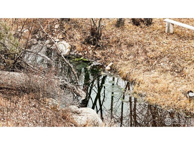 846 Boxer Ranch Rd, Livermore, CO 80536