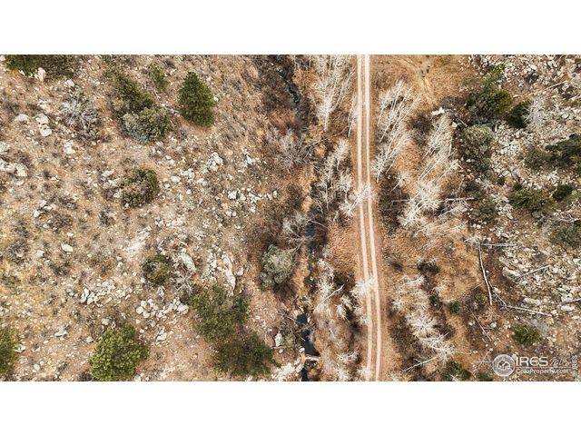 846 Boxer Ranch Rd, Livermore, CO 80536