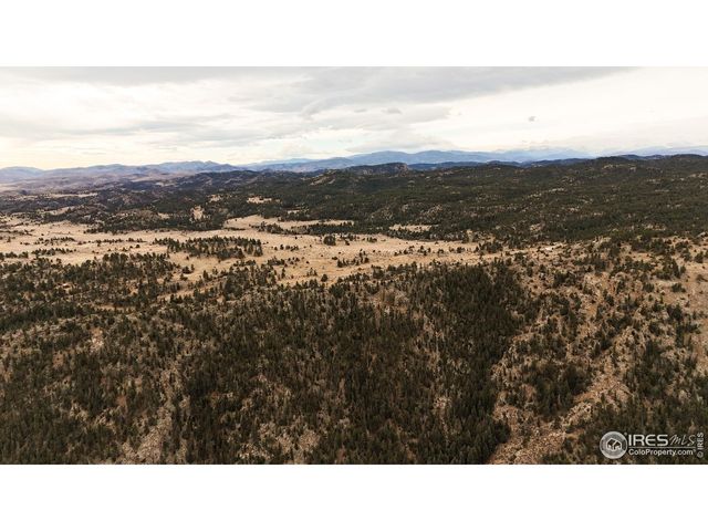 846 Boxer Ranch Rd, Livermore, CO 80536