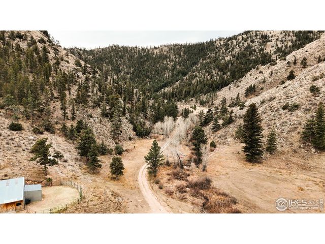 846 Boxer Ranch Rd, Livermore, CO 80536