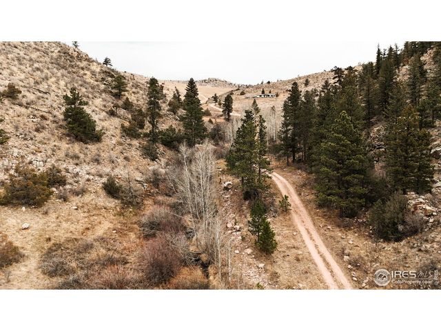 846 Boxer Ranch Rd, Livermore, CO 80536