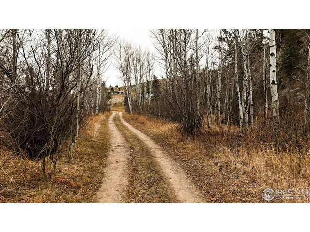 846 Boxer Ranch Rd, Livermore, CO 80536