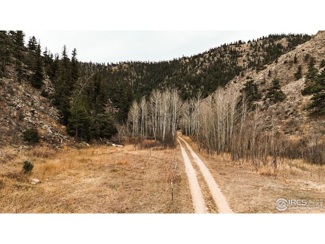 846 Boxer Ranch Rd, Livermore, CO 80536