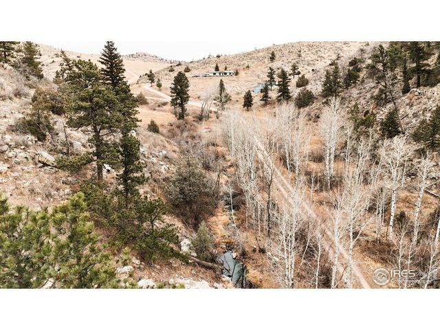 846 Boxer Ranch Rd, Livermore, CO 80536