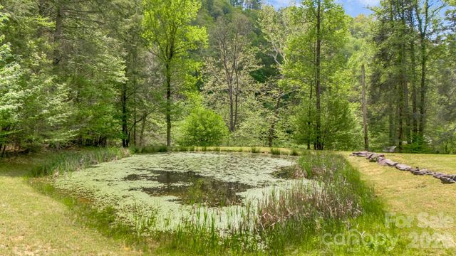 16 Caddis Court, Marshall, NC 28753