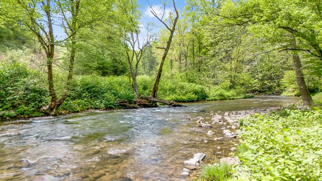 16 Caddis Court, Marshall, NC 28753