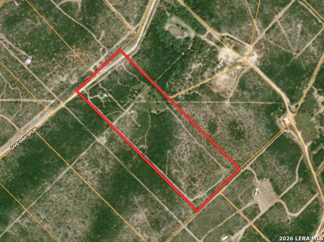 250 Live Oak Spur, George West, TX 78022