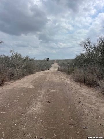 250 Live Oak Spur, George West, TX 78022