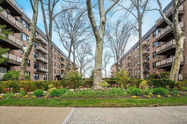 4 BIRCHWOOD 1B, Mineola, NY 11501