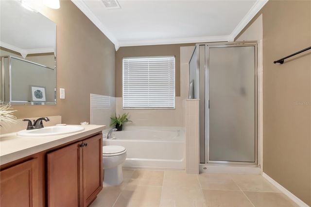 18907 RANDALL PLACE, Land O Lakes, FL 34638