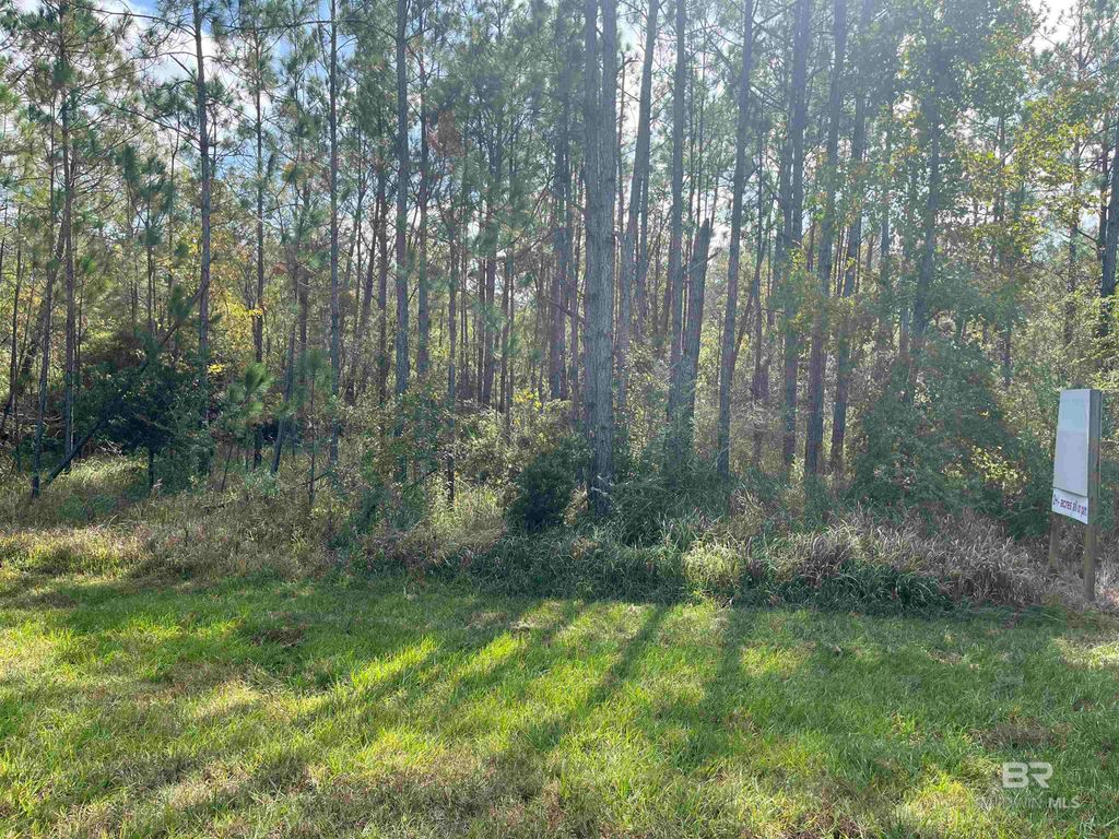 17058 Foley Beach Expressway, Foley, AL 36535