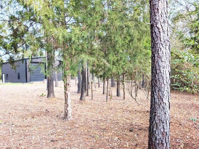 100 Womack Road, Cottonwood, AL 36320