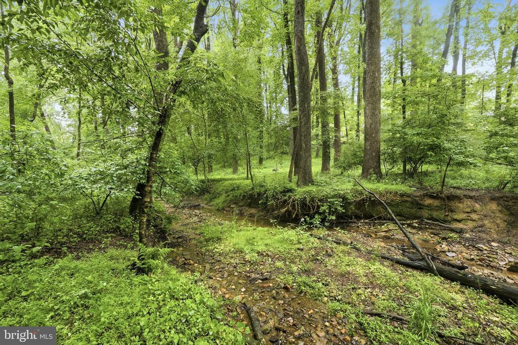 Image 49 of property listing at 12516 DAVAN DR, Silver Spring, MD 20904