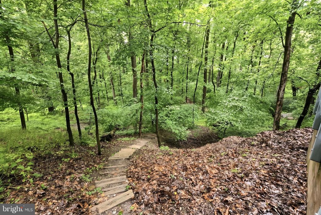 Image 50 of property listing at 12516 DAVAN DR, Silver Spring, MD 20904