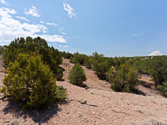 7 Las Katrinas, Santa Fe, NM 87506
