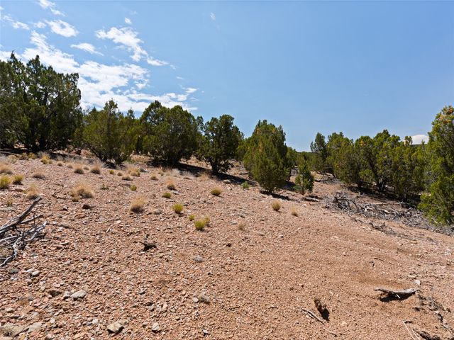 7 Las Katrinas, Santa Fe, NM 87506