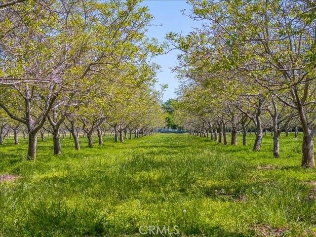 25179 68th Avenue, Los Molinos, CA 96055