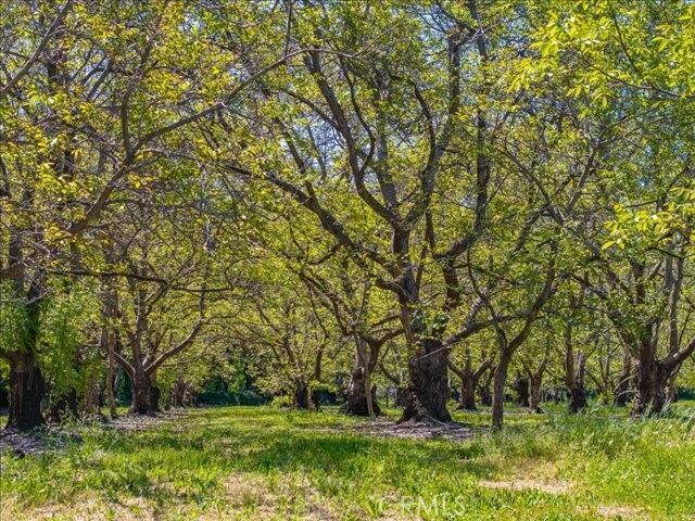 25179 68th Avenue, Los Molinos, CA 96055