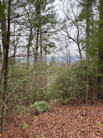 Lot 26 Our Hidden, Murphy, NC 28906