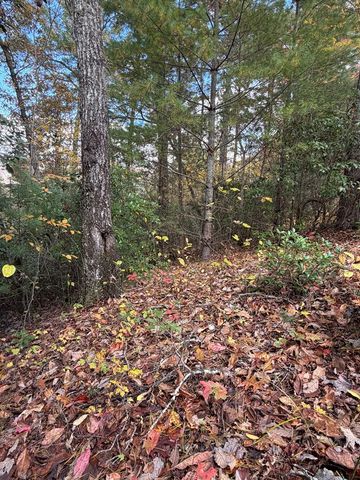 Lot 26 Our Hidden, Murphy, NC 28906