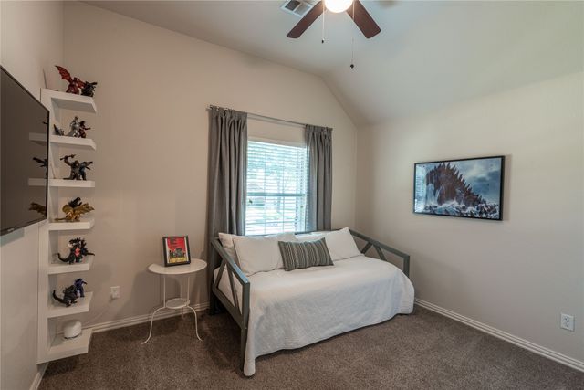 10196 Ferry Farm Lane, Frisco, TX 75035